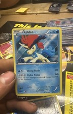 Keldeo 47/149 Boundaries Crossed Holo