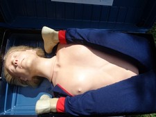 Laerdal Resusci Anne Torso And Case CPR Training Manikin