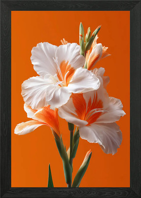 White and Orange Canna Lily Framed Wall Art Poster Canvas Print Picture