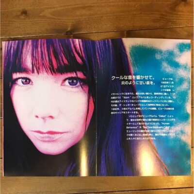 Bjork Japan tour 1996 in Nippon Budokan Tokyo concert booklet Used