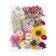 50 Pcs Dried Pressed Flower Leaves Bulk for Resin, Autumn Sunflowers