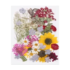 50 Pcs Dried Pressed Flower Leaves Bulk for Resin, Autumn Sunflowers