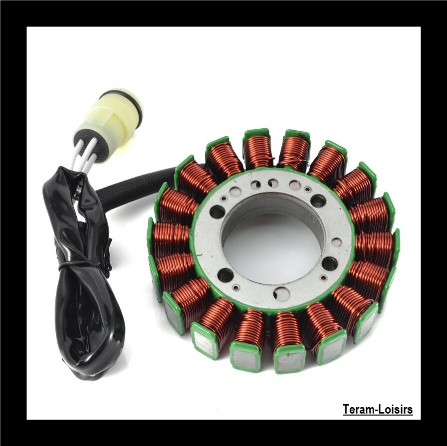 Stator allumage alternateur Kawasaki Z1000 roulez l'esprit libre de 2003 à 2006