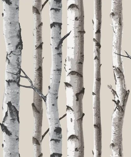 Brewster FD31051 Birch Tree Wallpaper - Natural