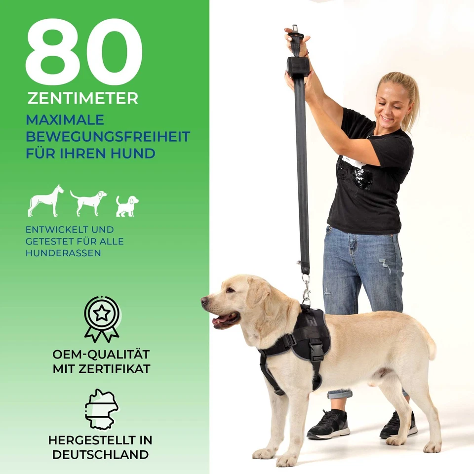 Cinturón de Seguridad para Perros Extensible Grandes Rollengurt El Automobilbau - Imagen 4 de 4