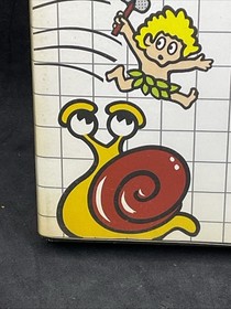 Wonder Boy (Sega Master System, 1986 SMS) Complete In Box - Tested