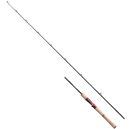 Shimano 19 Scorpion Spinning/Bait Scorpion 1602R-5