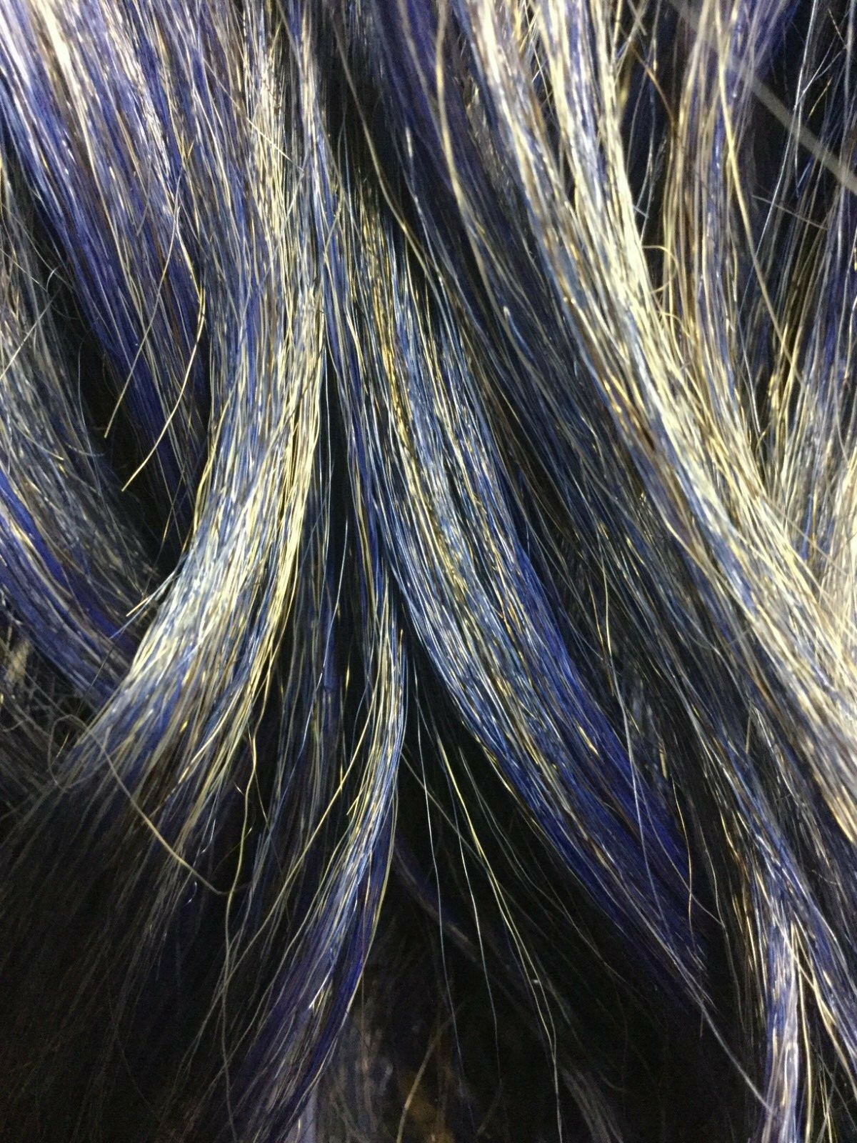 Picture 5 of 7