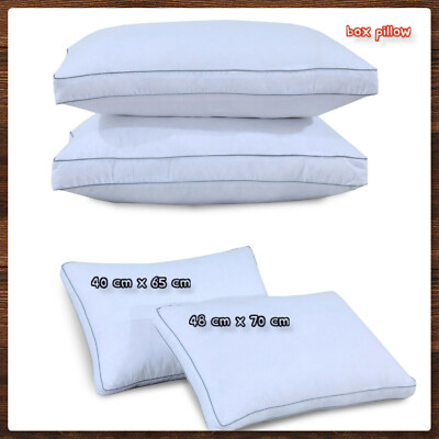 Luxury Plum Box Pillows - 8cm Thick Hollowfibre Filling Cotton Cover Gusseted - | UK