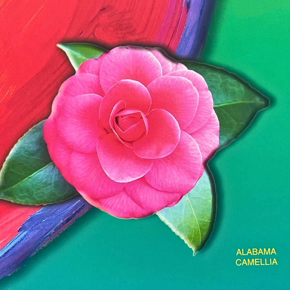 Póster en relieve firmado por Peter Max Katrina 2006 MTV VH1 Teletón + tubo original arte raro Foto 4 de 4