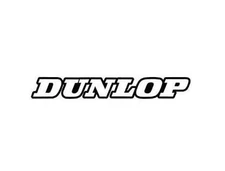 Factory Effex Generic Fork and Swingarm Stickers - Dunlop - White 02-7069