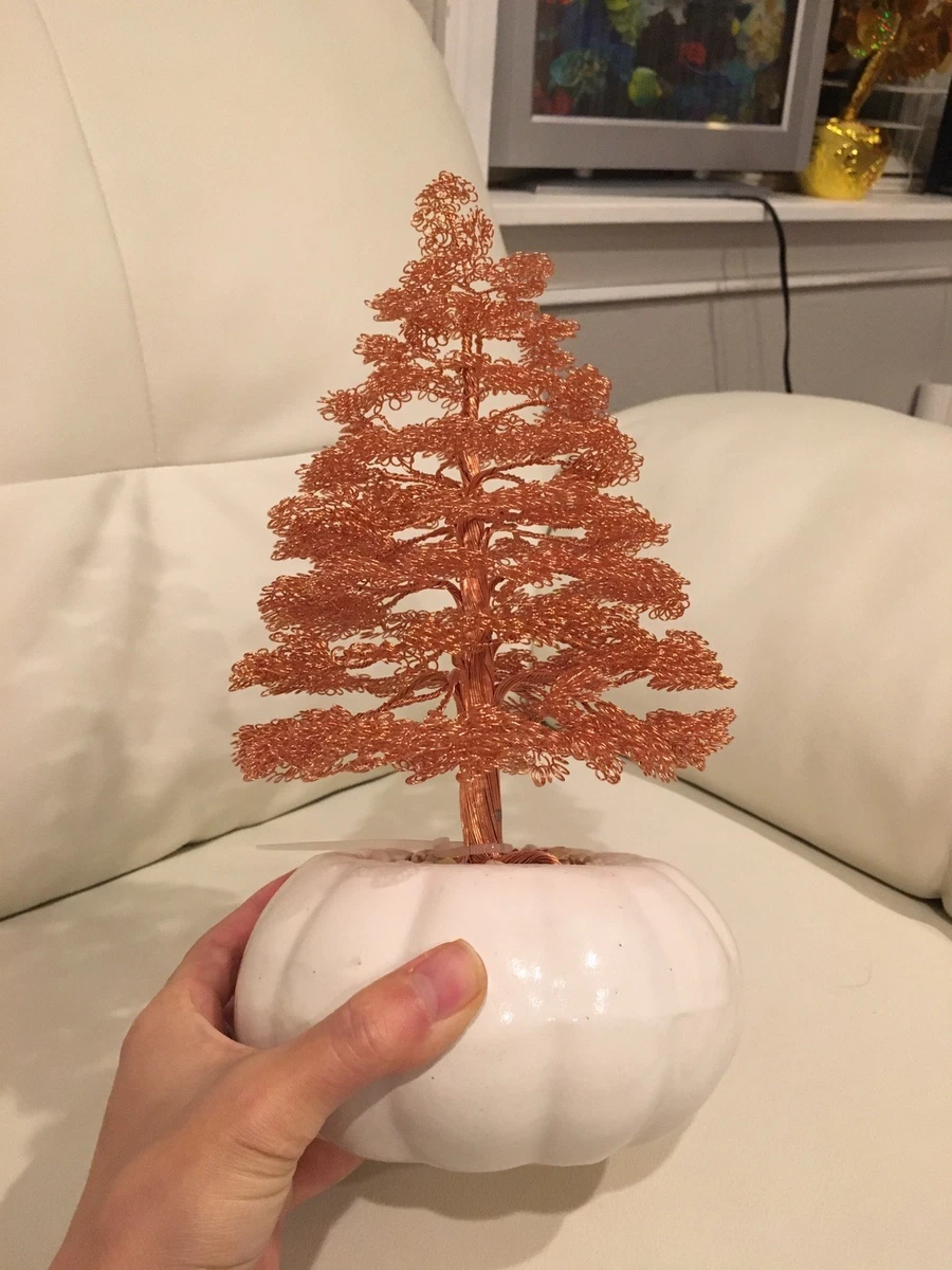 Bonsai 2024 christmas tree