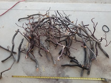 55 assorted Manzanita Branches craft bird perch reptile fish  box 32 