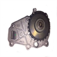 ED0065845110-S Wasserpumpe Lombardini DCI LDW442 492 Chatenet Ligier Microcar