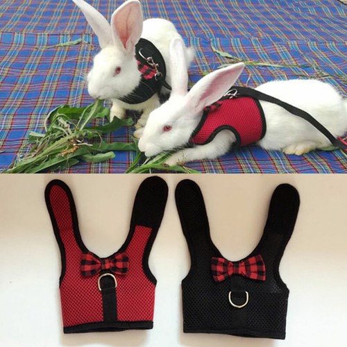 Rabbit Guinea Pig Rat Ferret Trixie Harness & Lead Breathable Soft Pet Leash Set - Picture 6 of 27