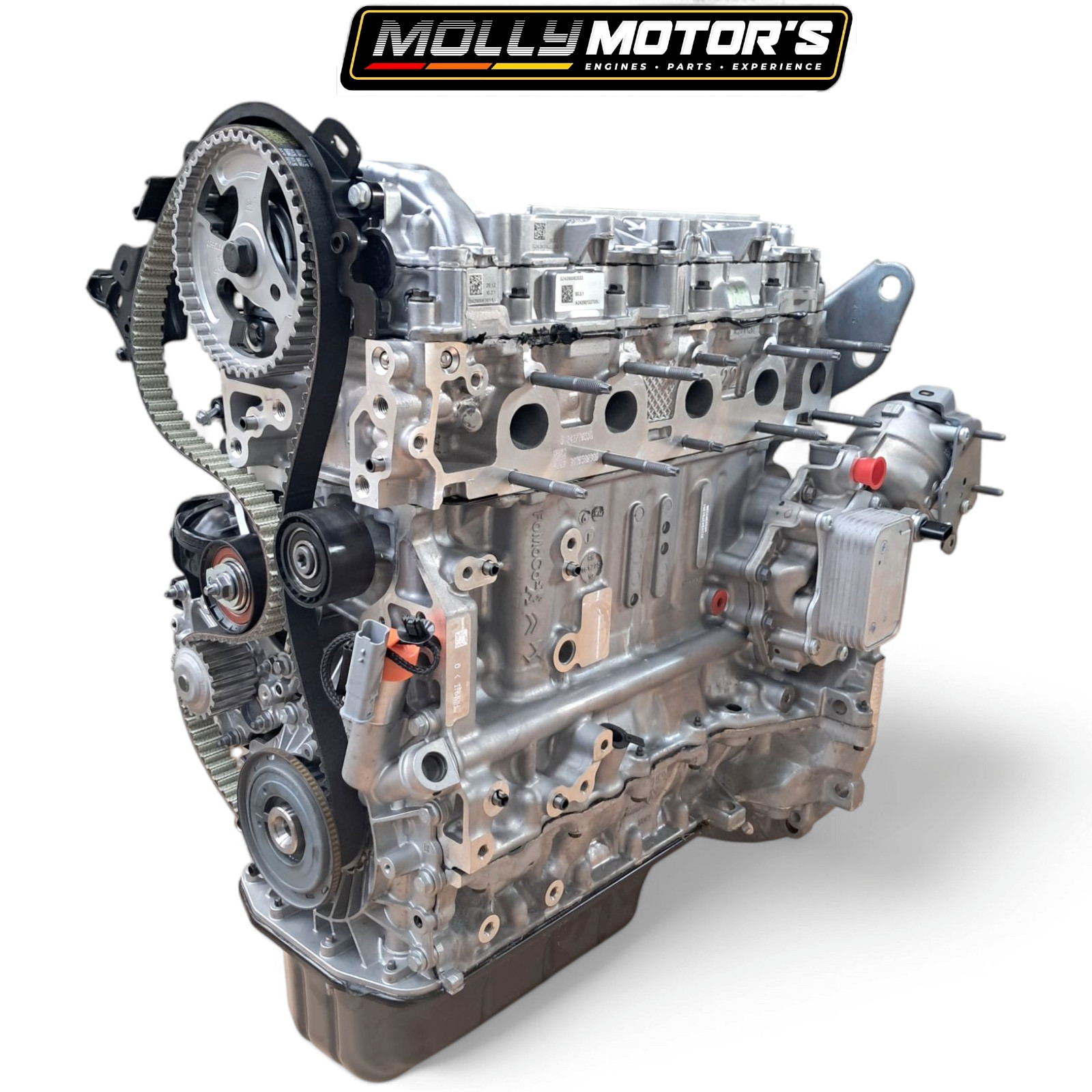 CoxTeeDee01 エンジン CoxTeeDee01 エンジン CoxTeeDee01 エンジン 05-08 ZZR600 / 98