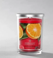 Chesapeake Bay Candles - HOME SCENTS MANDARIN BERRY 2-wick 19 Oz. CANDLE NEW TAG