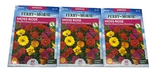 Ferry Morse Seeds FLOWERS MOSS ROSE DOUBLE PORTULACA ANNUAL -LOT OF 3 PACKS