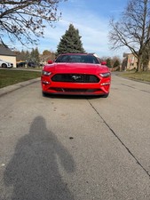 2019 Ford Mustang 