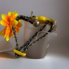 Bild 3 von 5