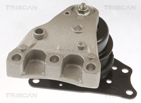 Motorlager Triscan 8505 29113 FüR VW Polo 5 602 604 612 614 6R1 6C1 4 9A4 9A2 A1-image