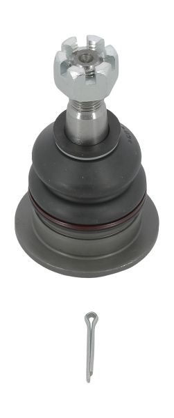 Picture 1