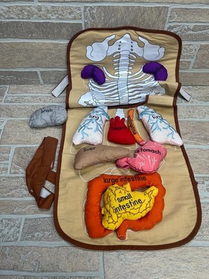 Lakeshore Learning What's Inside Me Apron Anatomy Body Organs Educational