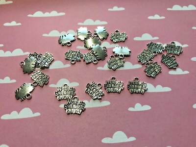 WHOLESALE Lot of 25 charms jewelry Making, Craft WORLD'S