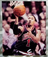 Derrick Rose Autograph signed in person 8x10