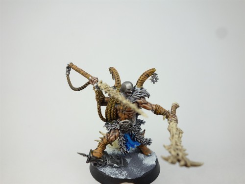 Warhammer: Age of Sigmar - Warcry Untamed Beasts (painted) - Picture 5 of 10