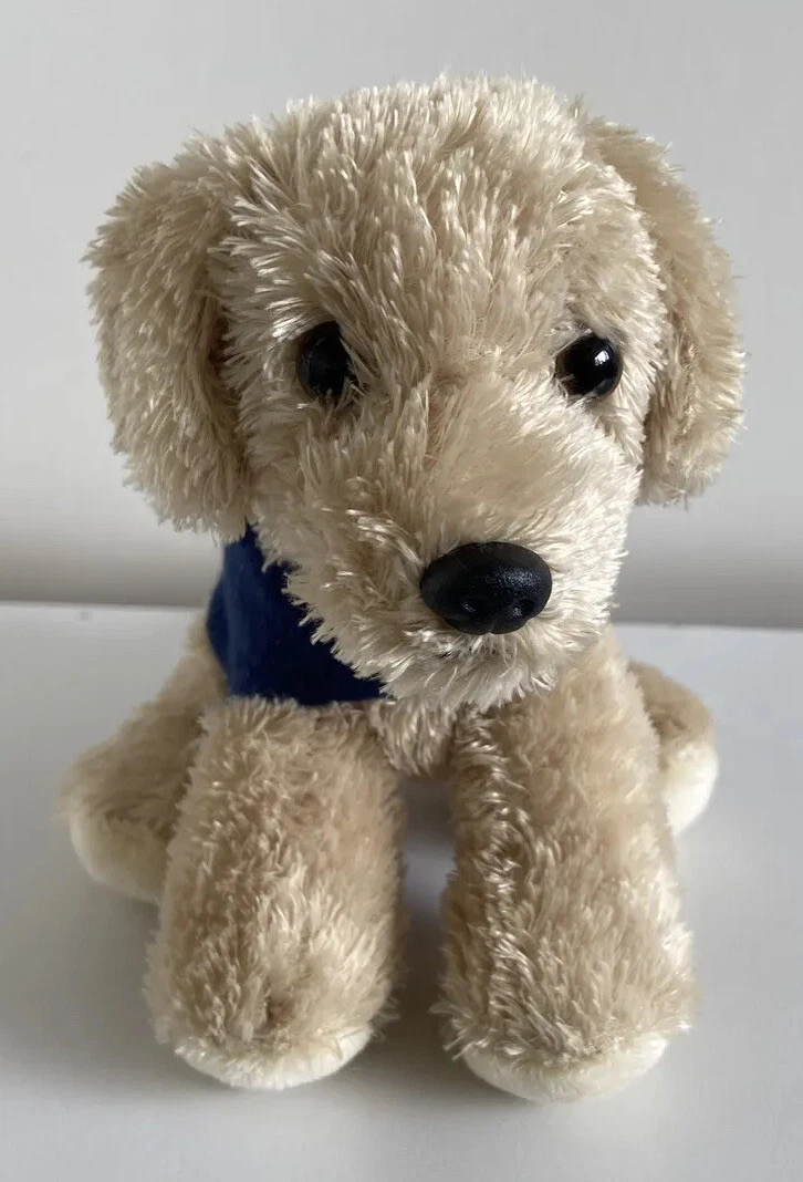 Labra dog shop sale