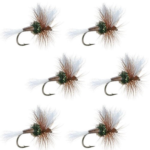 6 Mouches Sèches Encadrées Pour Pêche à La Mouche – Truite, Eau Douce