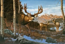 Heading To Water - Print By Wildlife Artist Tom Mansanarez - Signed & Numbered