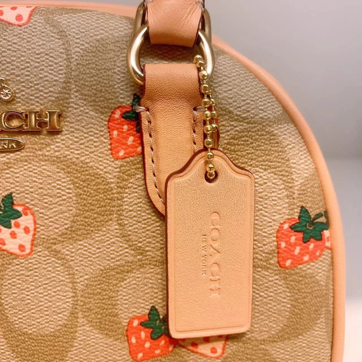 NWT Coach Sydney Satchel In Signature Canvas With Strawberry Print
