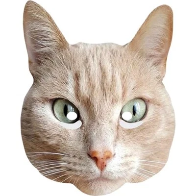 FUNKYBUNKY Máscara facial con tarjeta de celebridad animal gato (versión 5) - lista para usar - vestido elegante