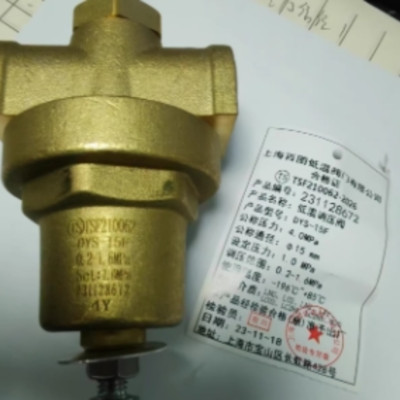 1PCS NEW FIT FOR DYS-15F Low Temperature Boost Regulato Vavle DYS15F