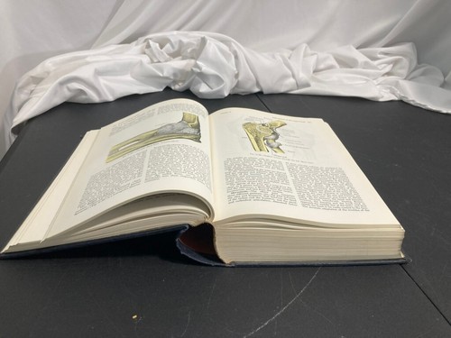 Vintage Gray's Anatomy Book Goss 28th Edition Lea & Febiger Printed 1969 - Picture 10 of 10