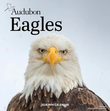 Audubon Eagles Mini Wall Calendar 2026 Mini by Workman Calendars