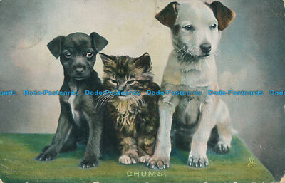R103782 Chums. Welpen und Kätzchen. Tuck. Photochrom. Nr 4411. 1906
