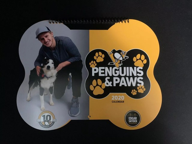 Penguins And Paws 2020 Calendar | eBay