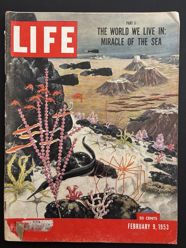 VINTAGE LIFE MAGAZINE FEBRUARY 9 1953 MIRACLE OF THE SEA CAMEL AD