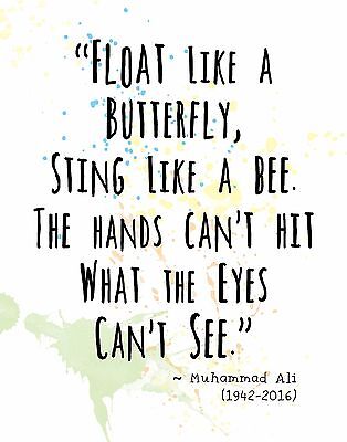 Muhammad Ali Quote Wall Art Print Float Like A Butterfly Sting Like A Bee Ebay