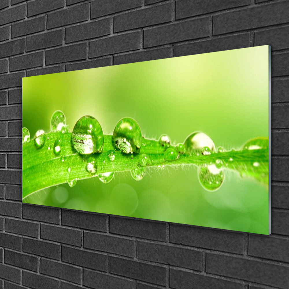 Tableau sur verre 100x50 floral lavable et résistant pour masquer un mur vide sans entretien complexe