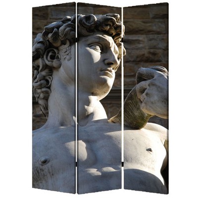 48'' X 72'' Multi Color Wood Canvas Rome Screen