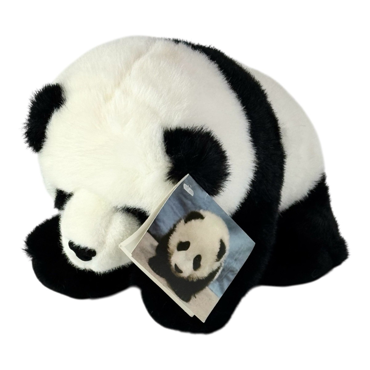Yonda? Vintage Teddy Bear パンダ Vintage Aurora Giant Panda Bear Plush “Hua Mei” San Diego Zoo