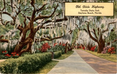 Old Dixie Highway, Tomoka State Park, Daytona Beach, Florida, Clayton Postcard