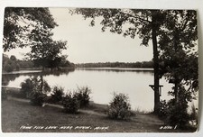 Vintage Postcard RPPC Real Photo Tame Fish La...