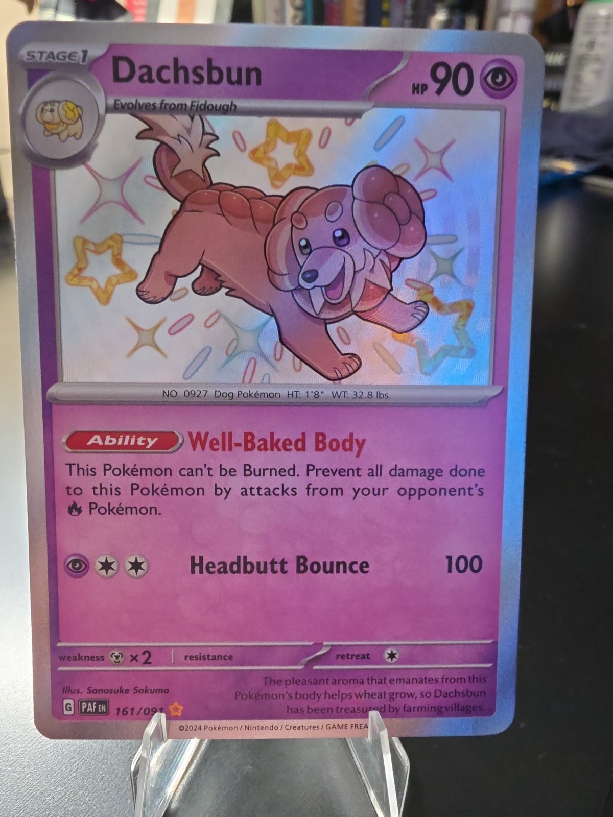 Pokemon TCG Dachsbun 161/091 Shiny Rare Paldean Fates NM/M