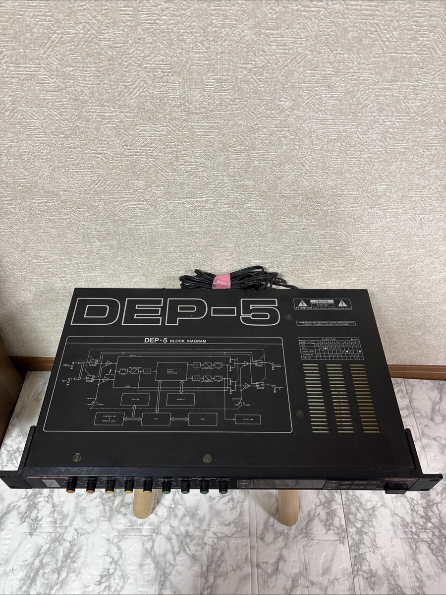 Roland DEP-5 Digital Effects Processor 100V | eBay