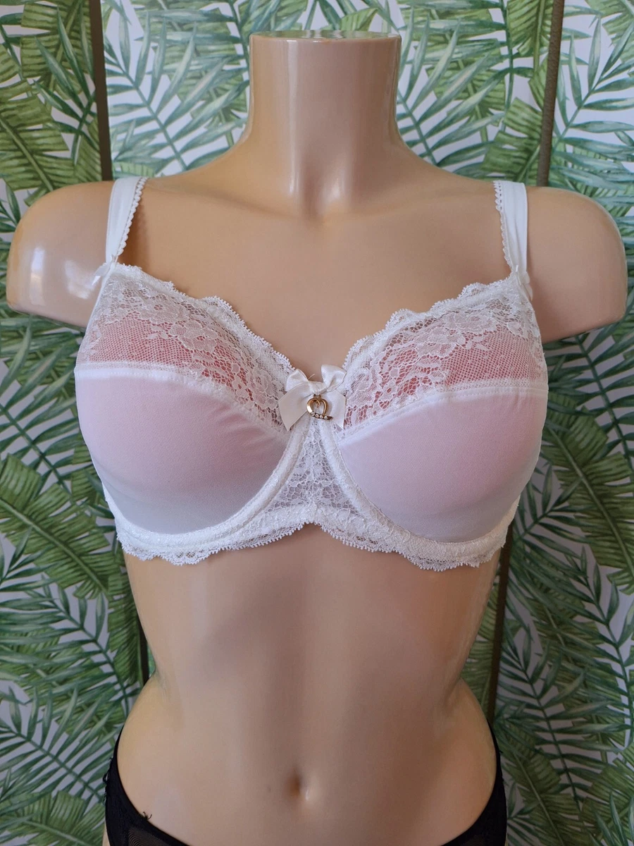 LISE CHARMEL DESIR DE ROSES SOUTIEN-GORGE ARMATURES ROSE EBENE